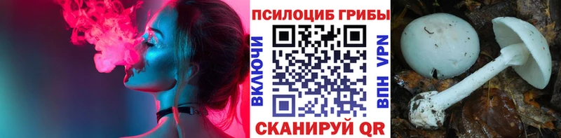 Галлюциногенные грибы Cubensis  MEGA tor  Алупка 